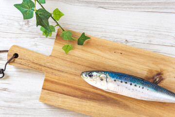 A fish on a cutting board. sardine. まな板の上の魚。イワシ