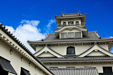 Fototapeta premium 長浜城