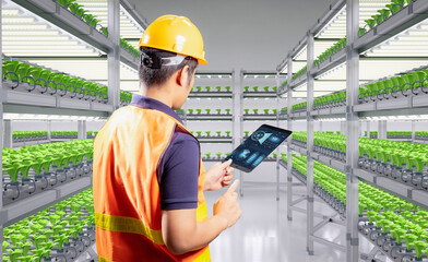 worker in smart indoor farm system raised plants on shelves growth with led light