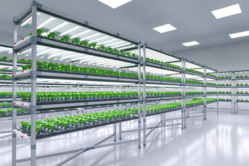 indoor farm system raised plants on shelves growth with led light © phonlamaiphoto