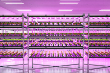 indoor farm system raised plants on shelves growth with led light