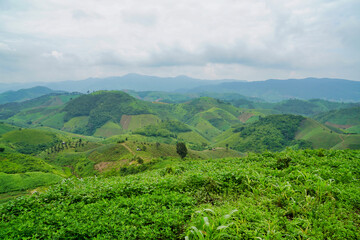 View of forests and mountains and clouds in the sky at northern Thailand.