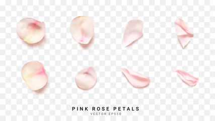 Fototapeta premium Realistic pink rose petals on transparent. Vector illustration