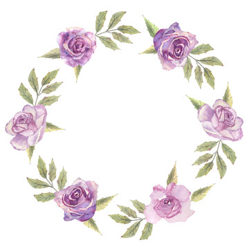 Floral wreath with purple roses and anemones on a white isolated background. Hand-drawn watercolor illustration
