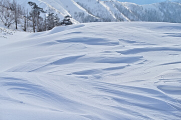 Fototapeta na wymiar 四国徳島県にある日本百名山「剣山」の冬景色