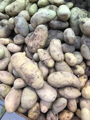 pebbles on the beach