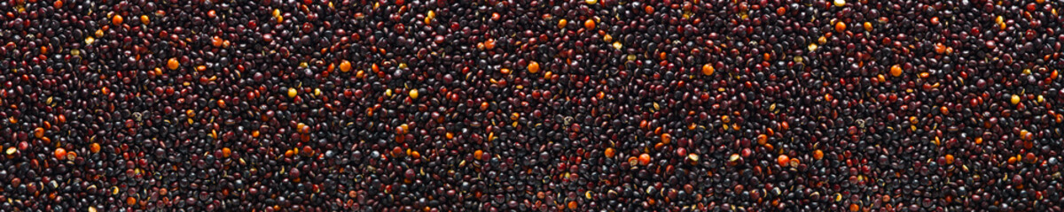 Chenopodium quinoa textured background of grains. Black Quinoa closeup of seed. banner