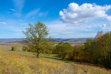 Beautiful autumn landscape overlooking the valley, sunny day. Autumn nature.