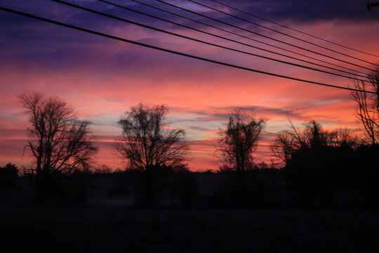sunset over the field