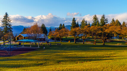Still-bare trees at Burnaby Mountain Park, BC, on the threshold of spring, with alpine mountain...