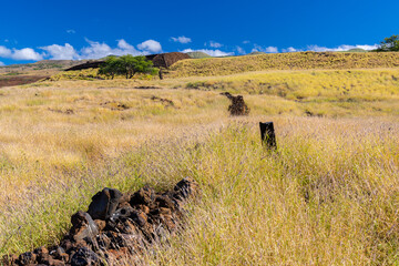 Obraz premium Lava Stone Fence Leading Uphill to Pu'ukohola Heiau National Historic Site, Hawaii Island, Hawaii, USA