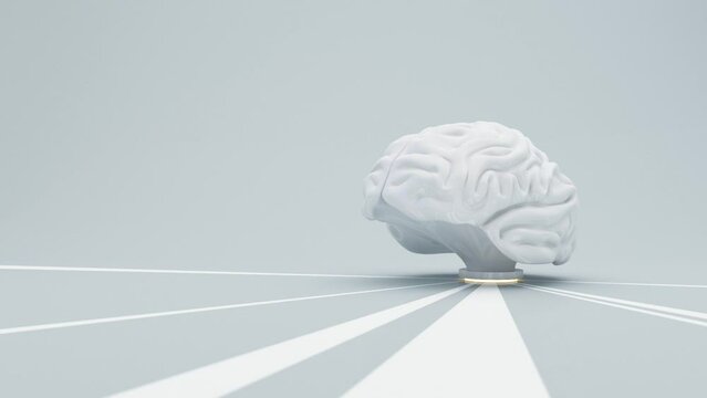 Human brain Anatomical Model power of people, Imagination and knowledge in the concept of education and human physiology with podium stand and with direction isolated on blue background 3d rendering
