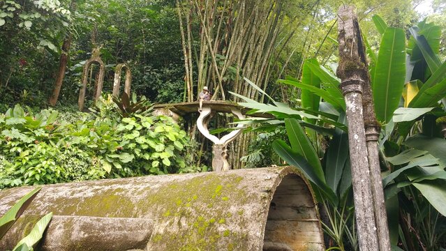 Happy latin adult man with shorts and camera explores and takes photos in the forest in Xilitla San Luis Potosí Mexico
