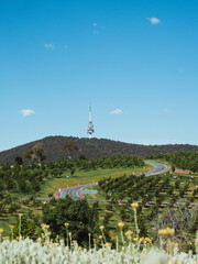 Country road to tower