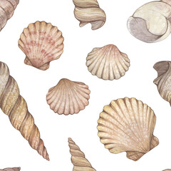 Watercolor seamless pattern with vintage seashells isolated on white background. Marine collection.