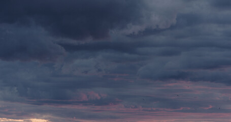 Purple clouds last minutes before sunset with birds flying by