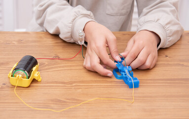 自宅で自由研究をする小学生の男の子