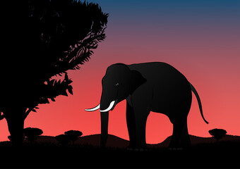 silhouette image Black elephant walking at the with mountain and sunset background Evening light vector Illustration