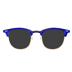 Oval sunglasses with navy frames