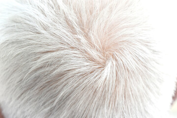 Back view of senior asia man with short gray hair