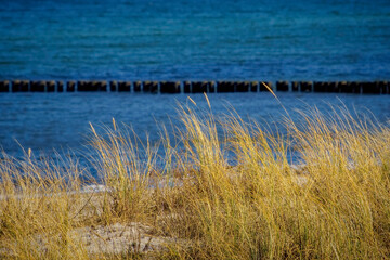 Ostseebad Kühlungsborn, Deutschland, Mecklenburg-Vorpommern