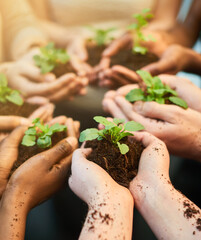 Fostering the future together. Shot of a group of people each holding a plant growing in soil.