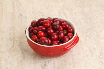 Ripe sweet tasty cranberry in the bowl