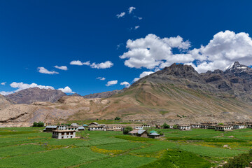 Fototapeta na wymiar Dul Village in Pin Valley, Spiti Valley, Himachal Pradesh, India