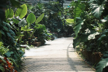 Obraz premium green plant leaves plant decorating in garden