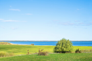 Fototapeta premium View of a grass meadow by a lake with a horizon