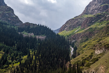Obraz premium Beautiful mountains with spruce forest and waterfall, landscape. Barskoon river gorge. Travel, tourism in Kyrgyzstan concept.