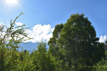 山の上の木と空と雲