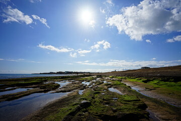 impressive moss rock beach 