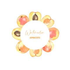 Greeting card with watercolor apricots