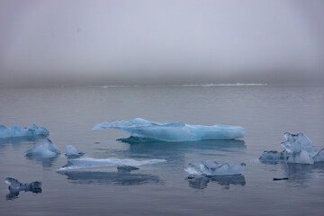 Floating Glacier Ice