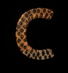 Leopard Themed Font Letter C