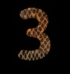 Leopard Themed Font Number 3