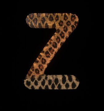 Leopard Themed Font Letter Z