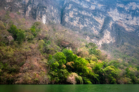 Sumidero Canyon is a deep natural canyon located on Grijalva River in Chiapas State in Southern Mexico. The Canyon's vertical walls can reach up to 1,000 meters high and it is covered with rainforest.