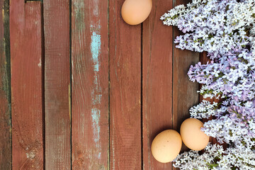 Brown eggs of domestic chicken hens and lilac flower on old red wood texture background. Spring and...