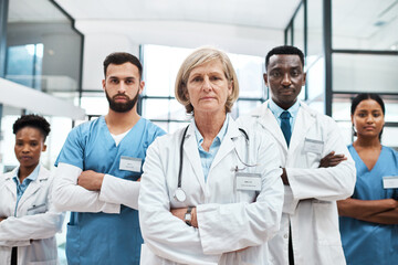 We aim to enhance the quality and effectiveness of healthcare. Portrait of a group of medical...