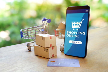 Shopping online application with paper boxes,shopping cart,credit card.