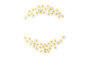 Composition of flowers