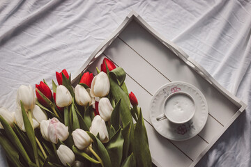 Obraz na płótnie Canvas Sill life spring white and red tulips on a white sheet with wooden tray and cup of coffee in a hand painted cup and saucer
