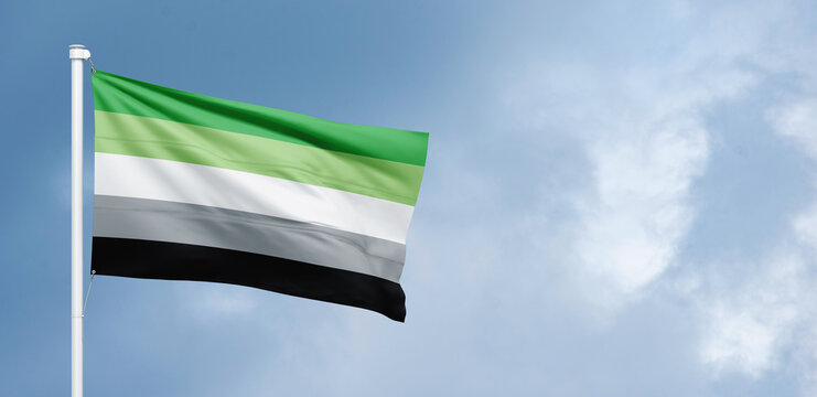 The aromantic pride flag consists of five horizontal stripes, which, from top to bottom, are: green, light green, white, gray, and black. In this order, the stripes represent aromanticism, the aromant