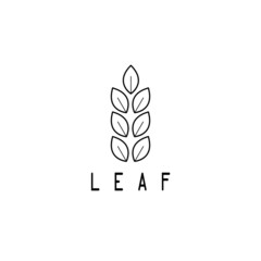 leaf logo design, icon, vector illustration