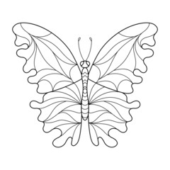 Cartoon Contour Isolated Object Patterned Butterfly for Coloring Book.