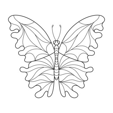 Cartoon Contour Isolated Object Patterned Butterfly for Coloring Book.