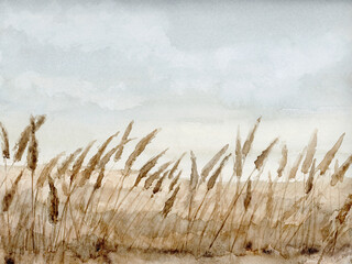 Pampas Wild Flower Grass Field Landscape, Hand Drawn and Painted Watercolor - 493753703