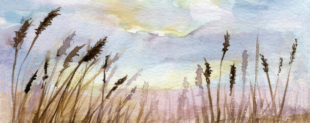 Summer Grass Flower Pampas Panorama Long Landscape with Colorful Sky, Hand Drawn and Painted Watercolor - 493753766